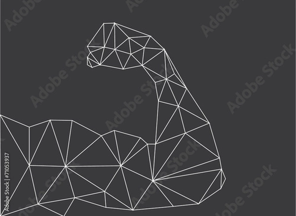 Fototapeta Muscle woman abstract isolated on a white backgrounds
