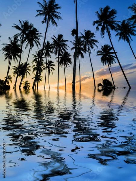 Fototapeta Coconut tree silhouette and reflection with sunset background