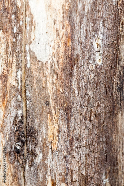 Fototapeta old wooden background