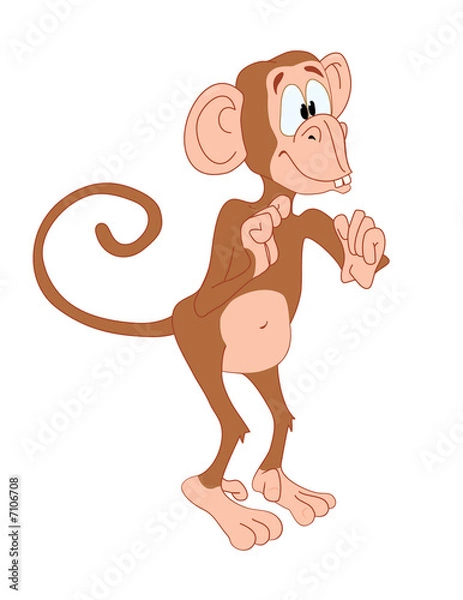 Fototapeta Standing_and_waiting_monkey