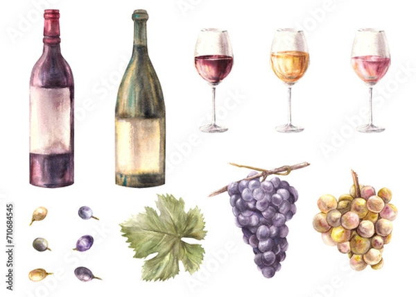Fototapeta Watercolor wine making set. Bottle, glasses with red, white, rose wine fillings. Bunch, leaf and berries of grapes. Hand painted illustration for wine list, menu, label. Isolated on white background 