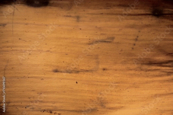 Obraz Dry leaves, nature, create beauty