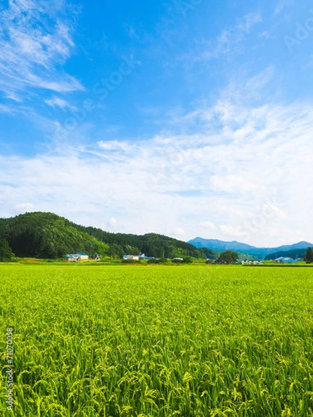 Obraz 秋田の田園