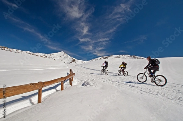 Obraz mountain bike sulla neve