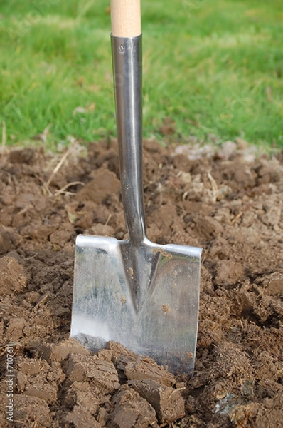 Fototapeta Spade in the soil