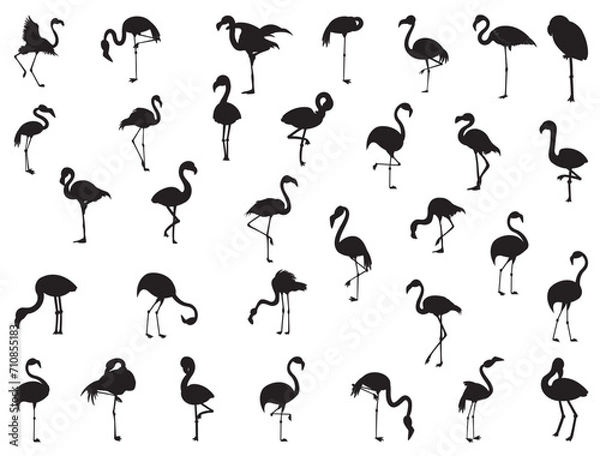 Obraz Flamingo silhouette vector art white background