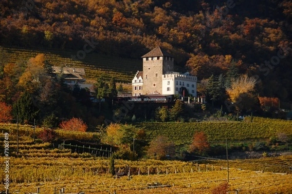 Obraz Veduta di Castel Corba (Schloss Korb)