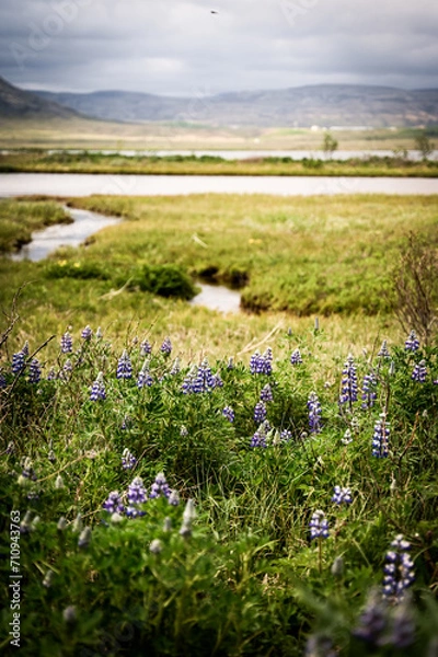 Obraz Icelandlandscape