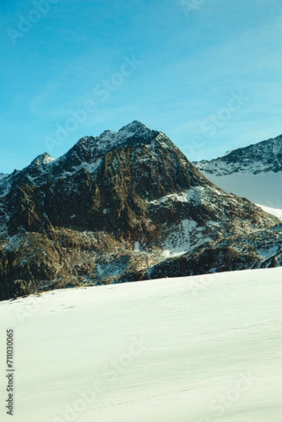 Fototapeta Vertical snowy landscape