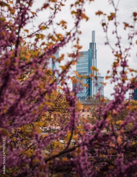 Obraz Philadelphia in the spring