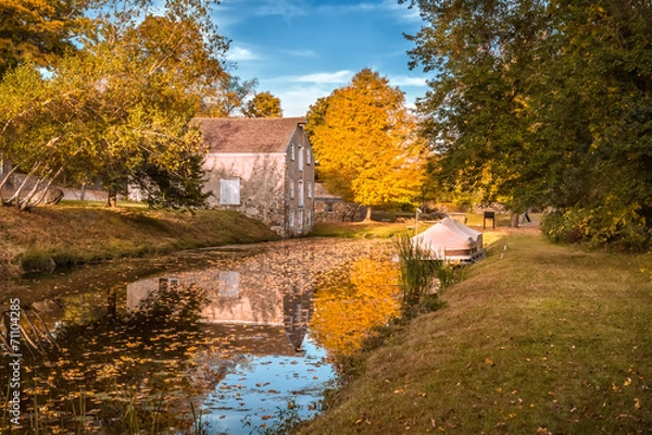 Fototapeta Fall colors