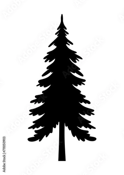 Fototapeta Fir tree, Pine Tree, Christmas tree, Tree, forest, nature, Tree shape, Christmas tree silhouette