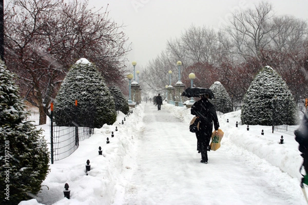 Fototapeta Boston Winter..