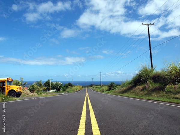 Fototapeta 海を望むカントリーロード