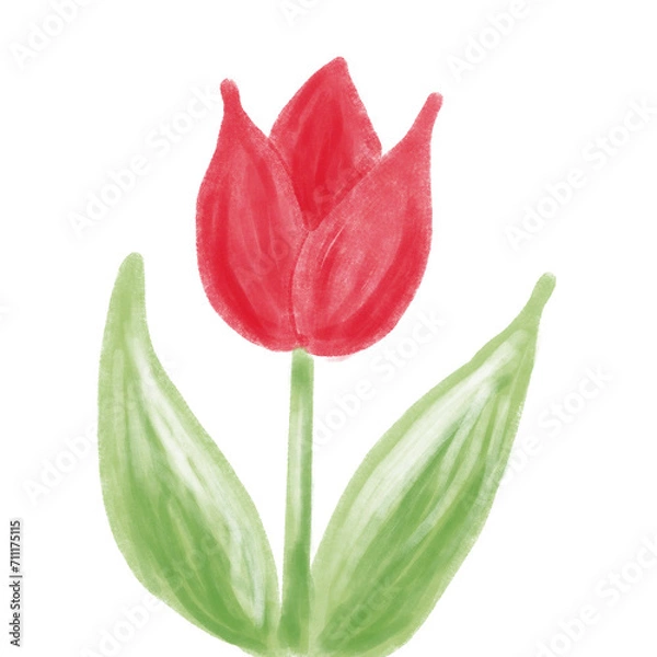 Obraz 手描き風チューリップ　