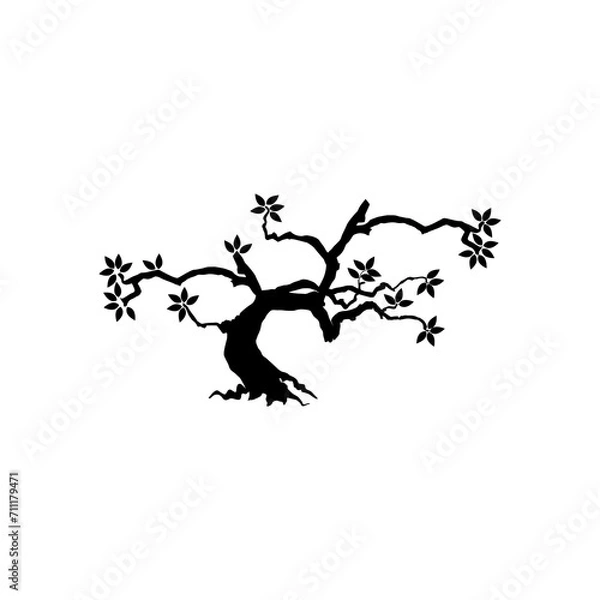 Fototapeta mangrove tree vector silhouette, black and white colors