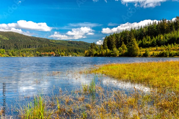 Obraz Schluchsee im Sommer