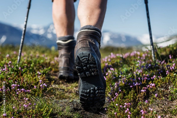 Fototapeta Hiking on a swedish trail