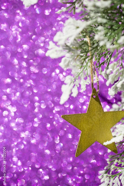 Obraz Christmas star.