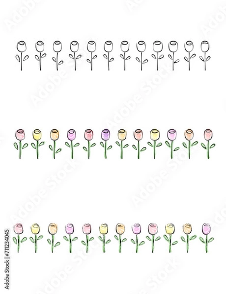 Fototapeta Vector border of tulips in outline-only, watercolor style, and watercolor style with dry brush strokes.