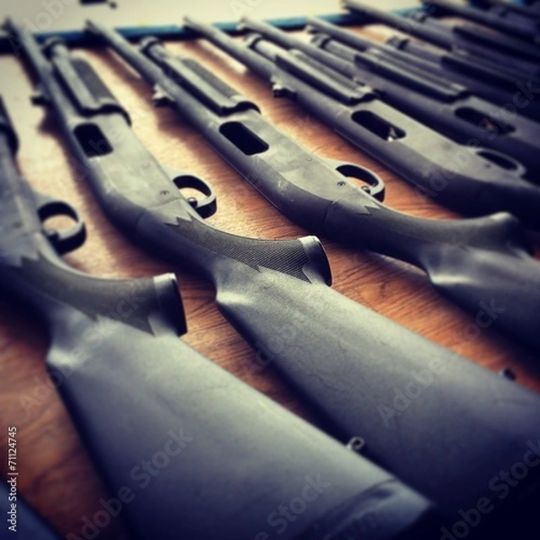 Obraz Shotguns