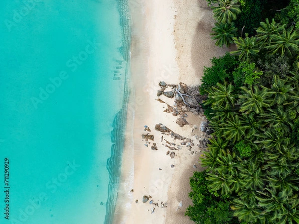 Obraz View from above, stunning aerial view of Banana beach, a beautiful white sand beach surrounded by palm trees and bathed by a turquoise water. Phuket, Thailand.