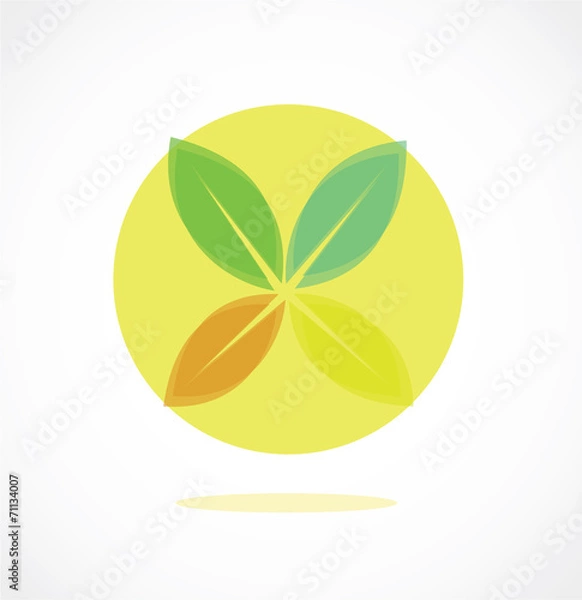 Fototapeta leaf icon vector