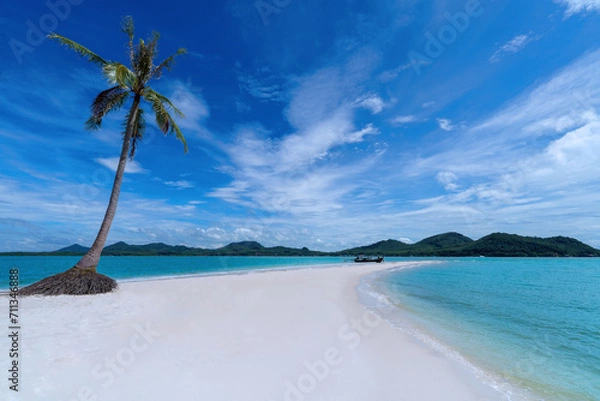 Fototapeta Beach with palm trees