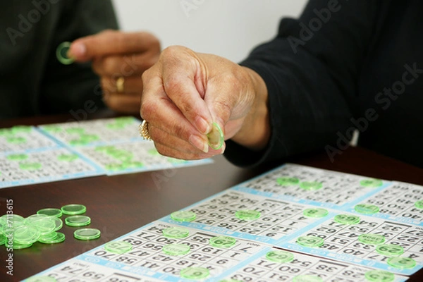Obraz Bingo