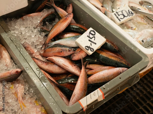 Obraz 沖縄県の県魚グルクン