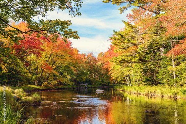 Fototapeta Mersey river in fall