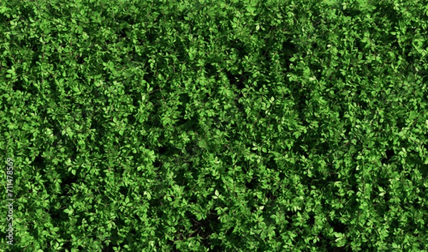 Obraz abstract green hedge as wallpaper background - 3D Illustration