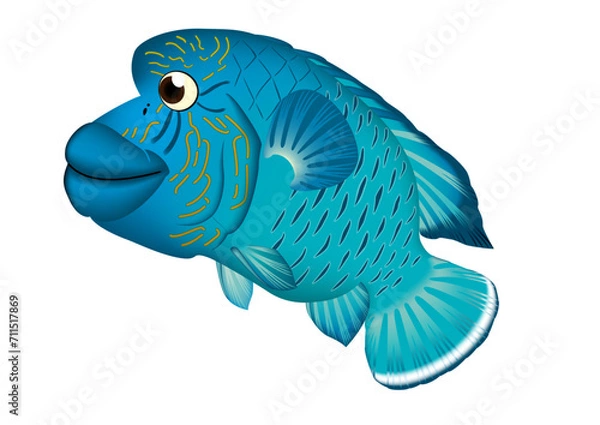 Obraz ナポレオンフィッシュ