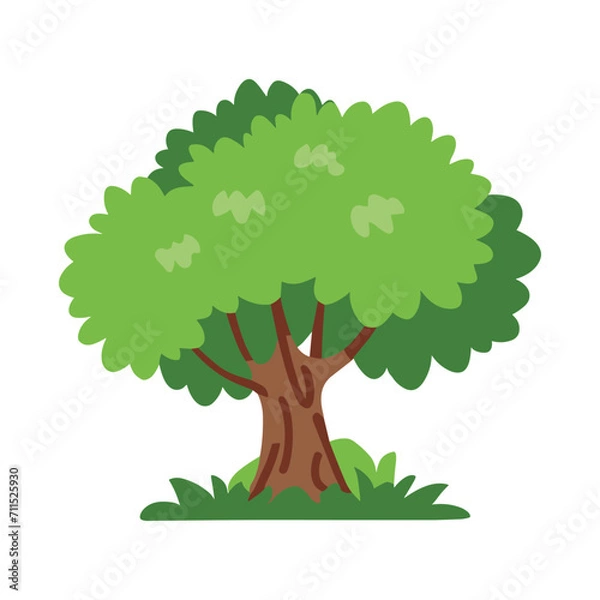 Fototapeta Small tree with green leaves flat vector illustration, Tree vector
