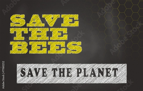 Fototapeta Save the Bees - Save the Planet napisane na czarnej tablicy