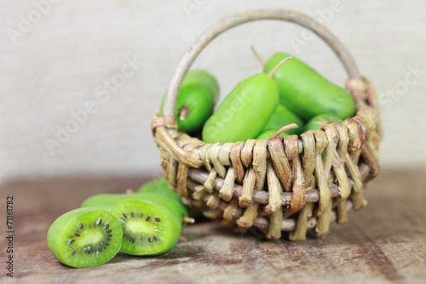 Obraz Mini-Kiwis
