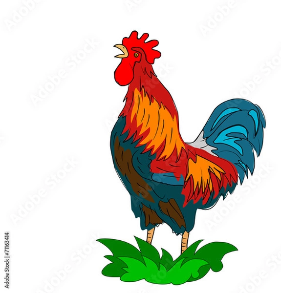 Obraz krähender hahn