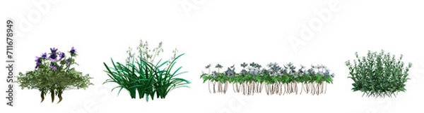 Fototapeta 3d rendering shrub and flower  isolated cut background
