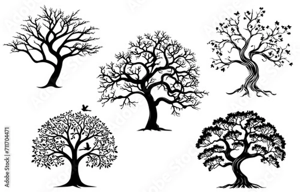 Obraz Trees silhouettes. Winter autumn naked forest and park tree and spruces without foliage. Vector isolated images on white background with birds.