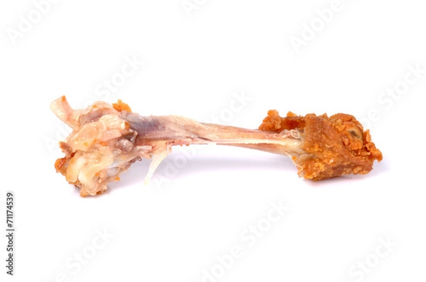 Obraz chicken bone isolated white