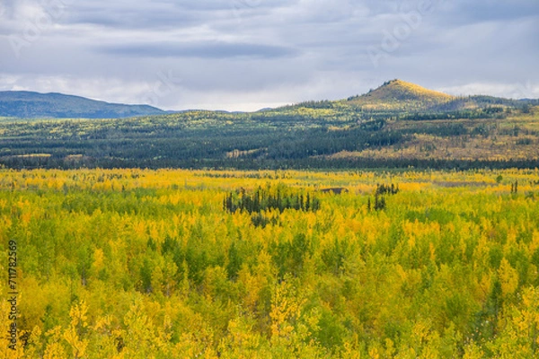 Obraz Yukon mountains autumn