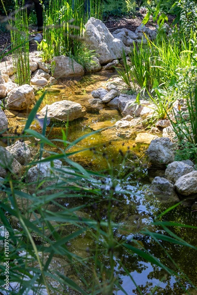 Fototapeta Aménagement d'une zone humide dans un jardin - ruisseau s'écoulant entre des pierres entourées de plantes vertes