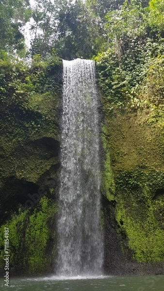 Obraz waterfall in the forest