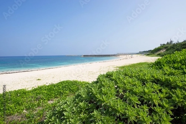 Fototapeta 沖縄のビーチ・久高島
