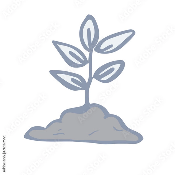 Fototapeta seedlings