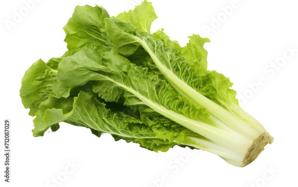 Fototapeta Elevating Your Plate with the Wholesome Goodness of Escarole on White or PNG Transparent Background