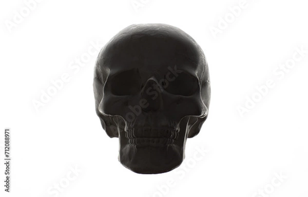 Obraz plaster human skull isolated on white background