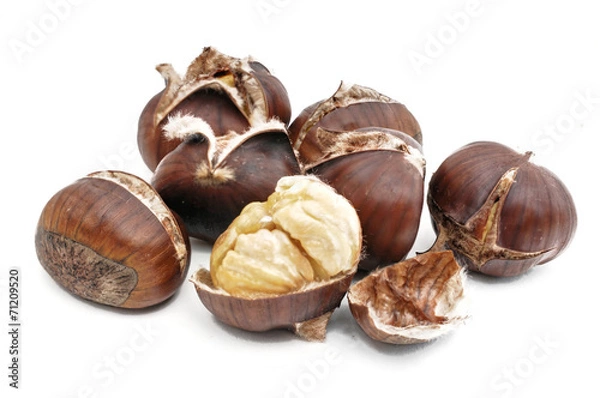 Fototapeta Eßkastanien kupił