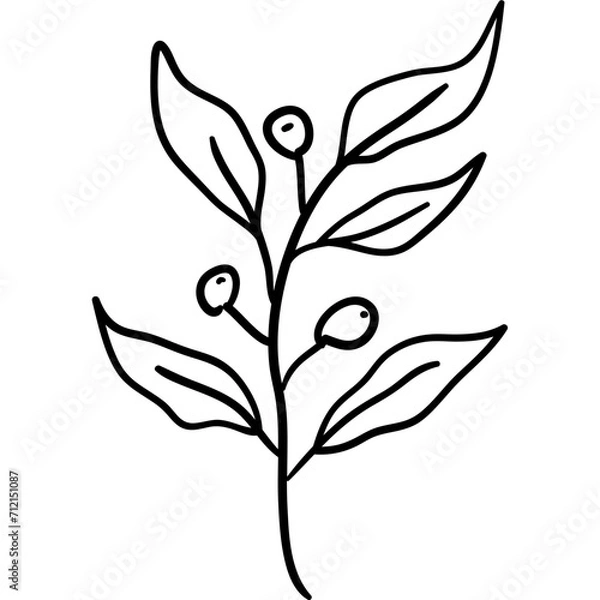 Fototapeta boho leaf doodle elements