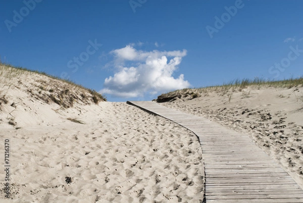 Obraz kurische nehrung